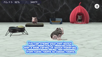 My micro pig screenshot 2