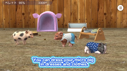 My micro pig screenshot 3
