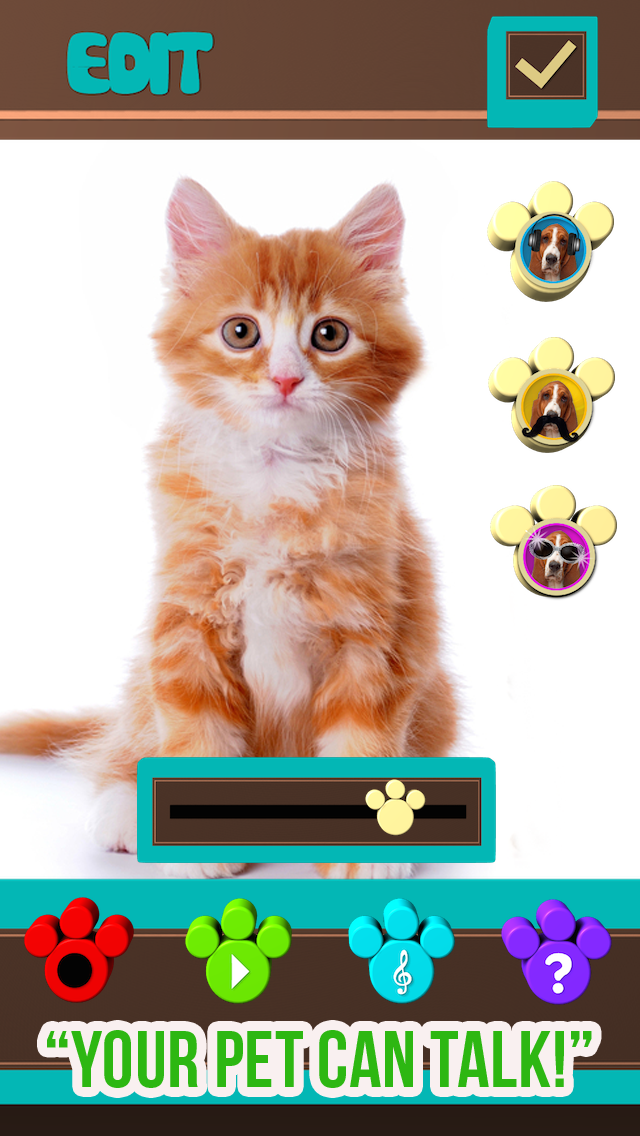 +My Pet Can Talk Videos - Free Virtual Talking Animal Game screenshot 5