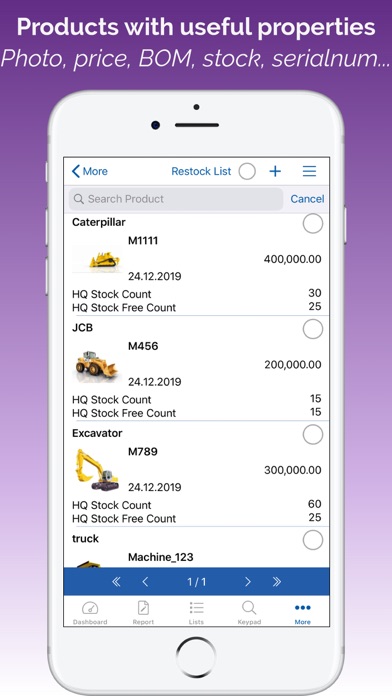 My Report screenshot 3