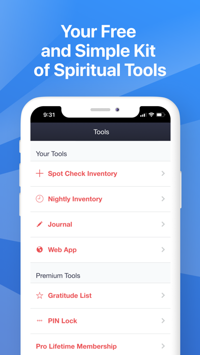 My Spiritual Toolkit AA Steps screenshot 5