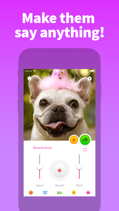 My Talking Pet screenshot 5
