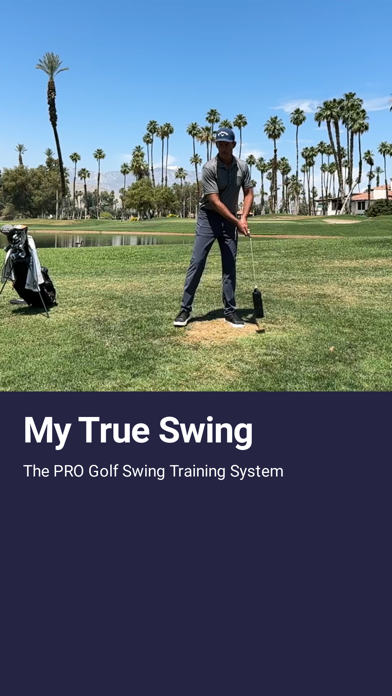 My True Swing screenshot 3