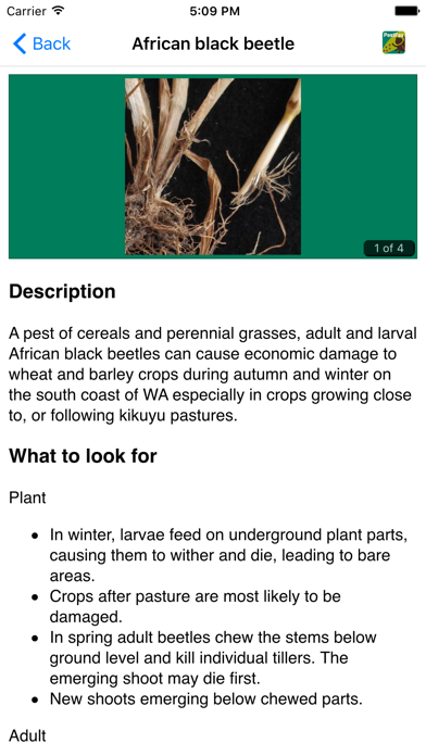 MyCrop Wheat screenshot 1