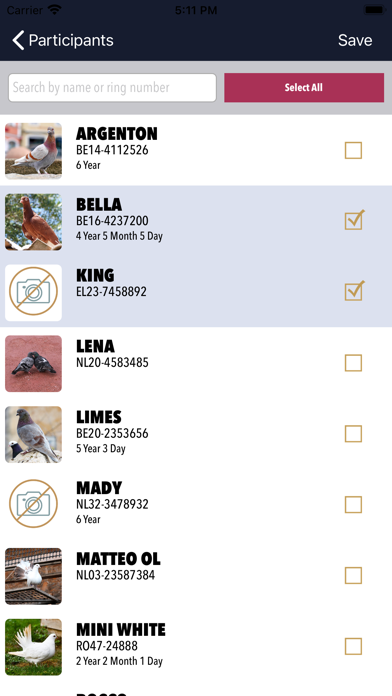 MyPigeon App screenshot 2