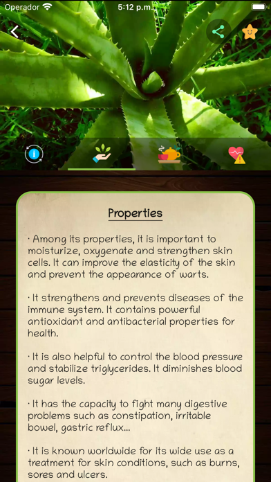 myRemedy: Medicinal plants screenshot 3