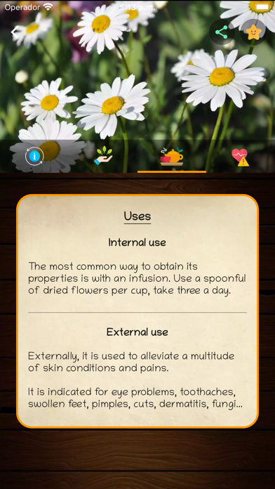 myRemedy: Medicinal plants screenshot 2