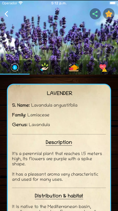 myRemedy: Medicinal plants screenshot 4