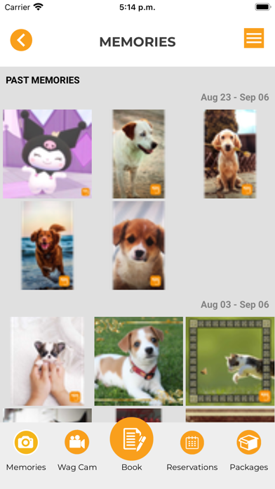 MyWag Hotels screenshot 2