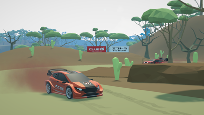 N3Rally screenshot 1