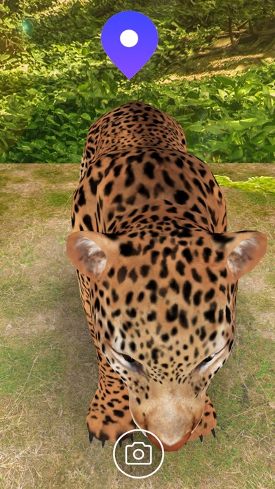 NAT Virtual Museum screenshot 1