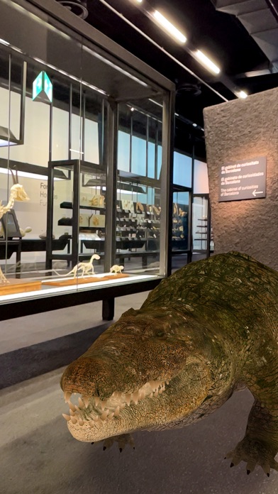 NAT Virtual Museum screenshot 4