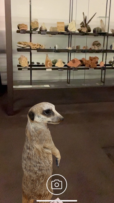 NAT Virtual Museum screenshot 2