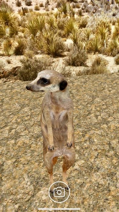 NAT Virtual Museum screenshot 3