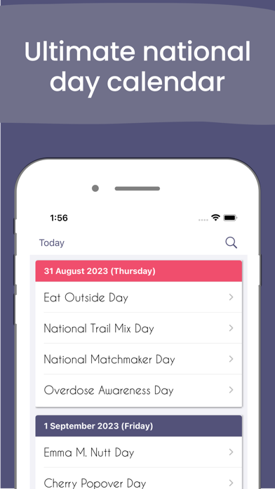 National Holiday Today screenshot 5