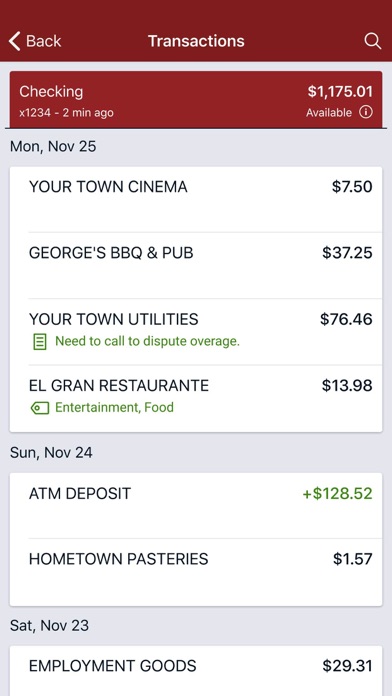 Native American Bank screenshot 1