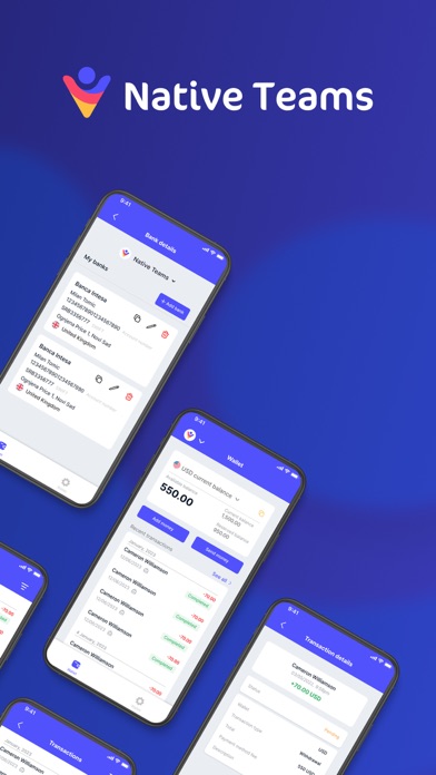 Native Teams screenshot 6