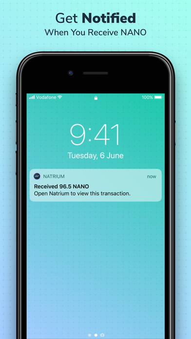 Natrium - NANO Wallet screenshot 5
