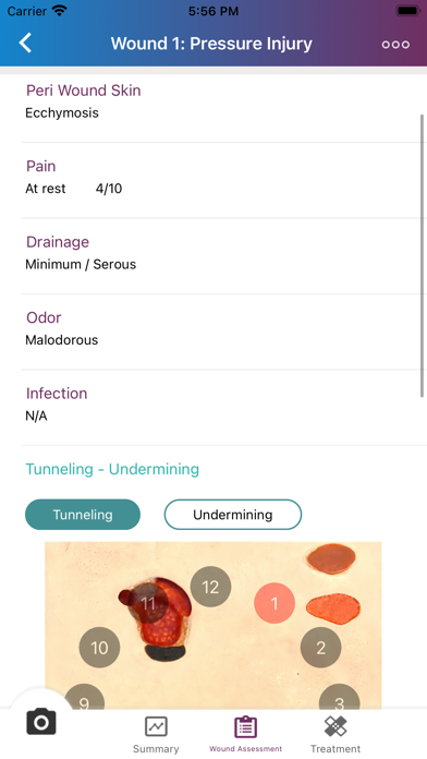 NATROX® IQ Advanced Wound Hub screenshot 1