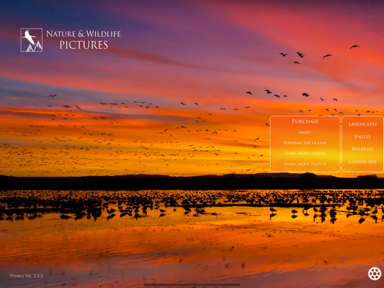 Nature and Wildlife Pictures screenshot 10