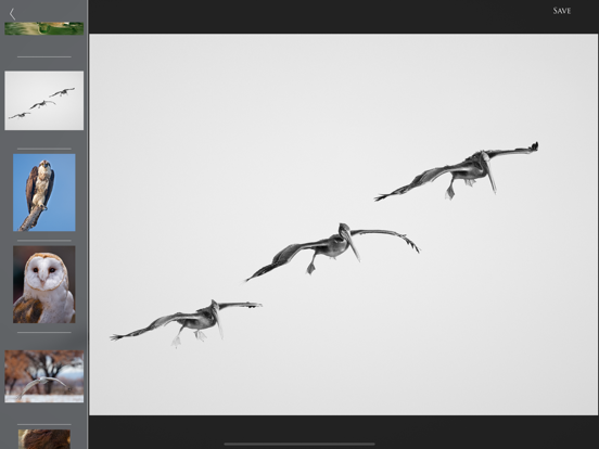 Nature and Wildlife Pictures screenshot 3