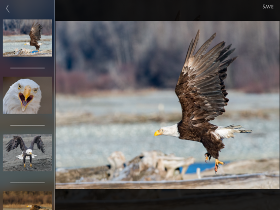 Nature and Wildlife Pictures screenshot 9