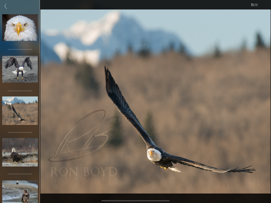Nature and Wildlife Pictures screenshot 5