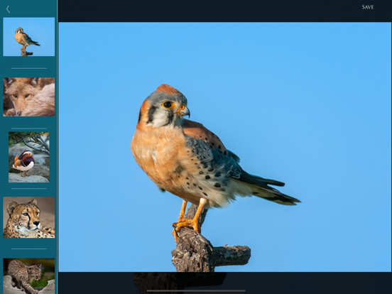 Nature and Wildlife Pictures screenshot 4