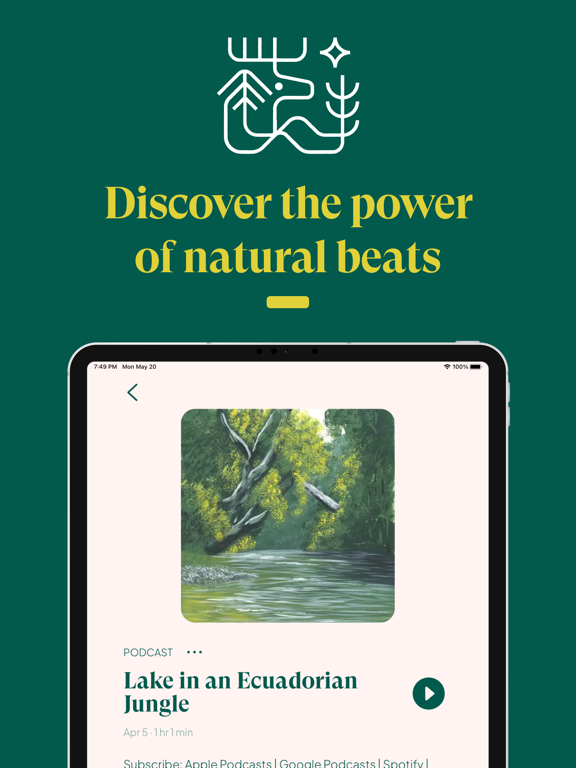 Nature Sounds : Earth FM screenshot 4