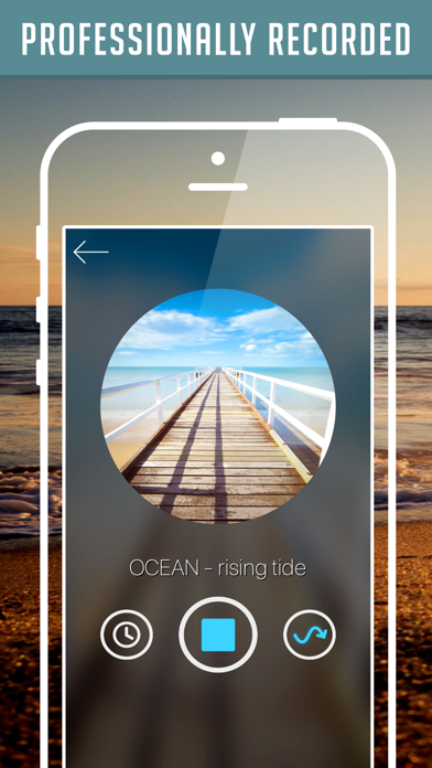 Nature Soundscapes screenshot 4