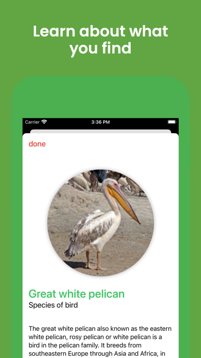 Naturify screenshot 1
