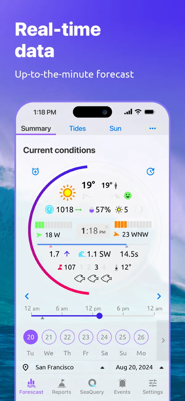 Nautide: Tides, Wind, Waves + screenshot 5