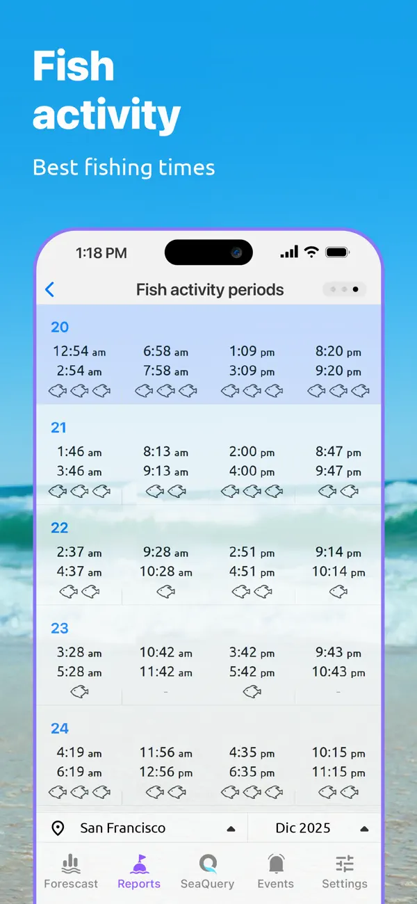 Nautide: Tides, Wind, Waves + screenshot 1