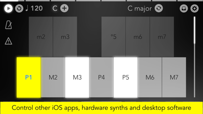 Navichord Lite chord sequencer screenshot 1