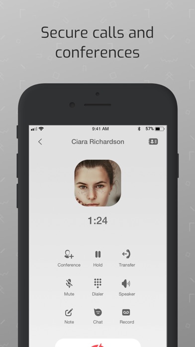 NetExpress VoIP screenshot 4