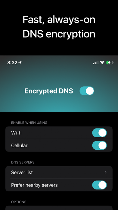 NetShade DNS screenshot 2