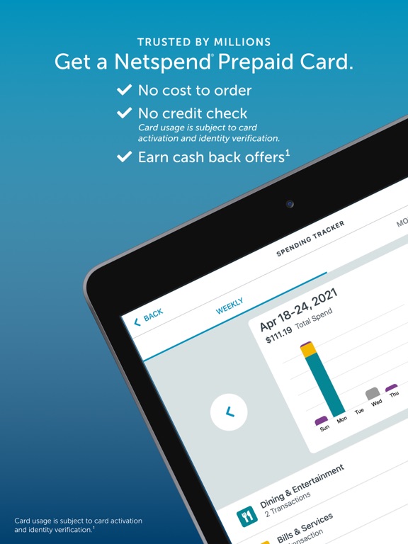 Netspend screenshot 4