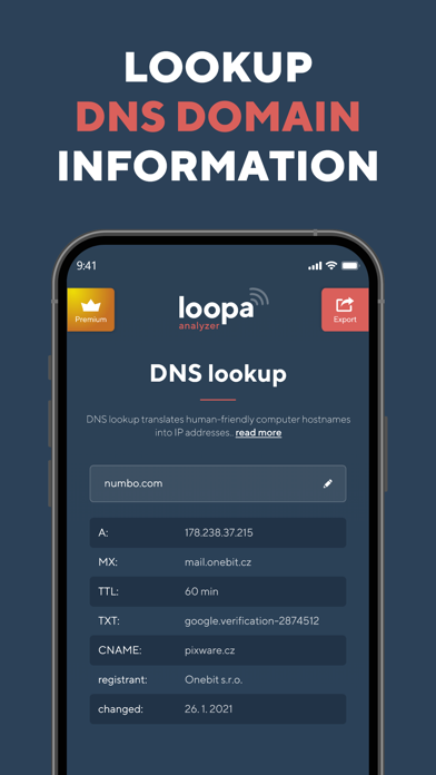 Network Analyzer Master: Loopa screenshot 1