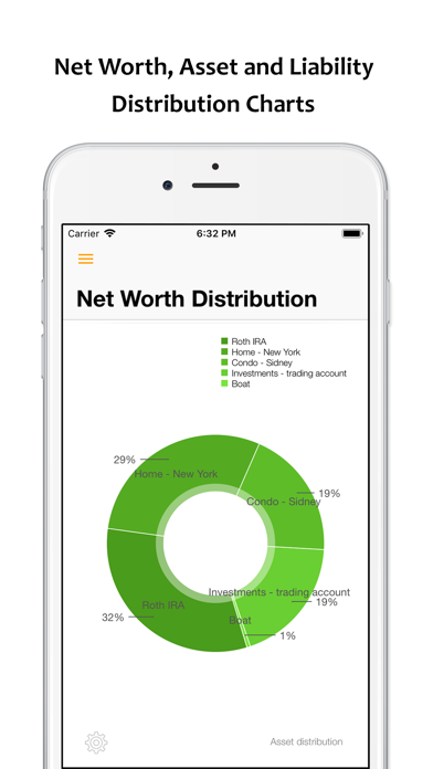 NetWorth Pro 2 screenshot 1