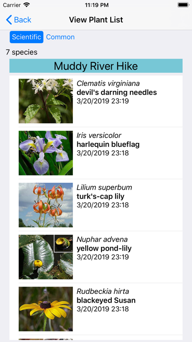 New England Wildflowers screenshot 2