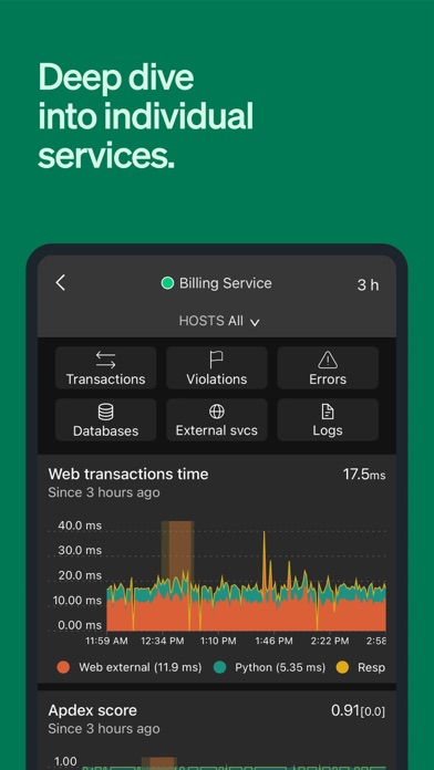 New Relic screenshot 4
