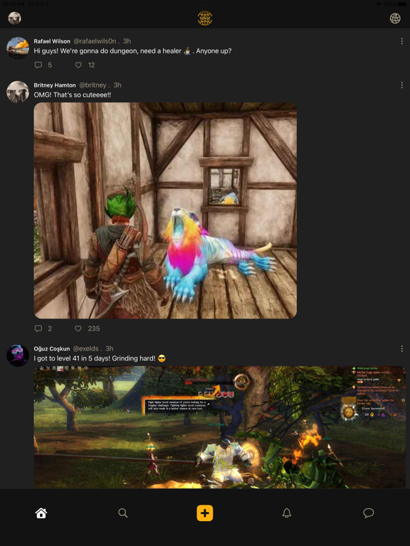 New World Network for MMORPGs screenshot 9