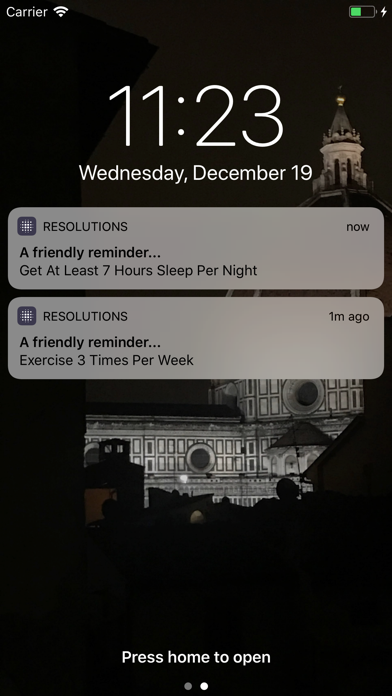 New Year's Resolutions Tracker screenshot 3
