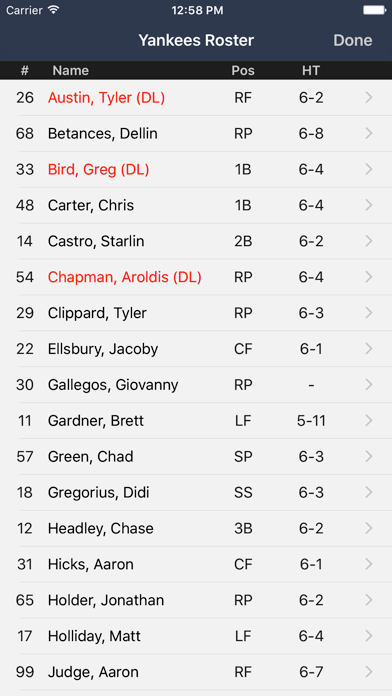 New York Baseball - Yankees screenshot 1