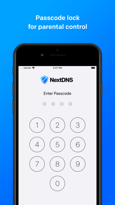NextDNS screenshot 2