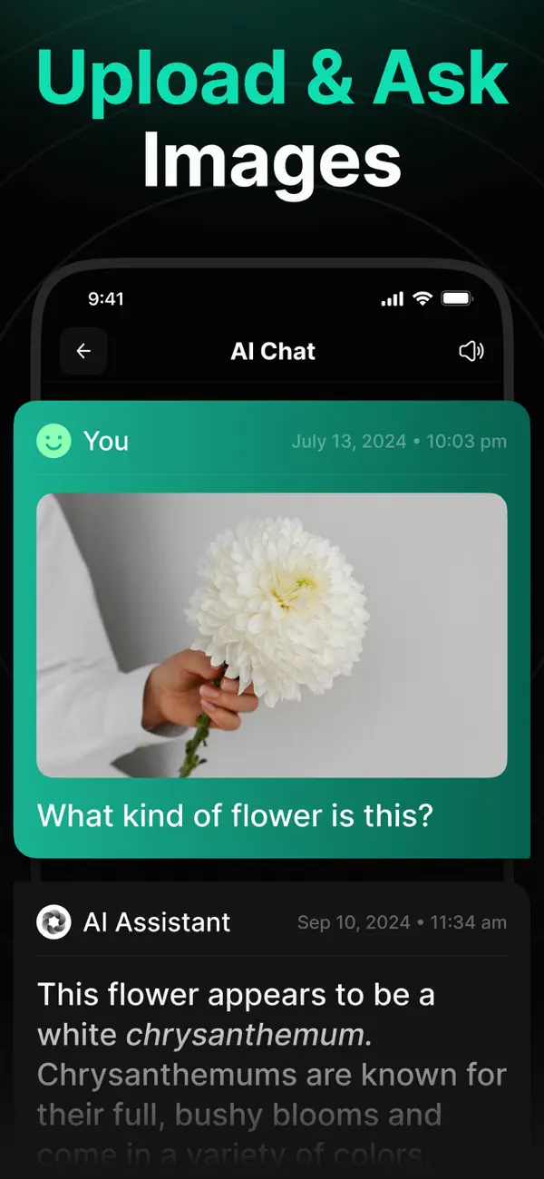 NextGen AI Chat Assistant screenshot 2