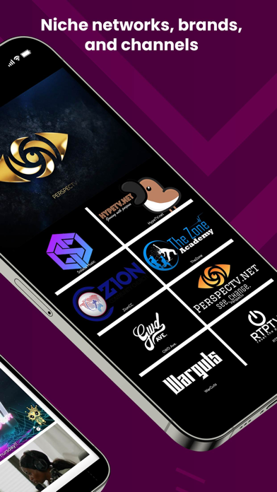 NicheTV screenshot 1
