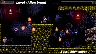 Ninja Ranger screenshot 1