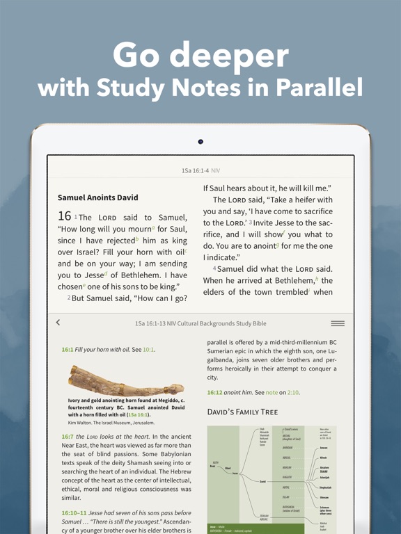 NIV Bible App + screenshot 9