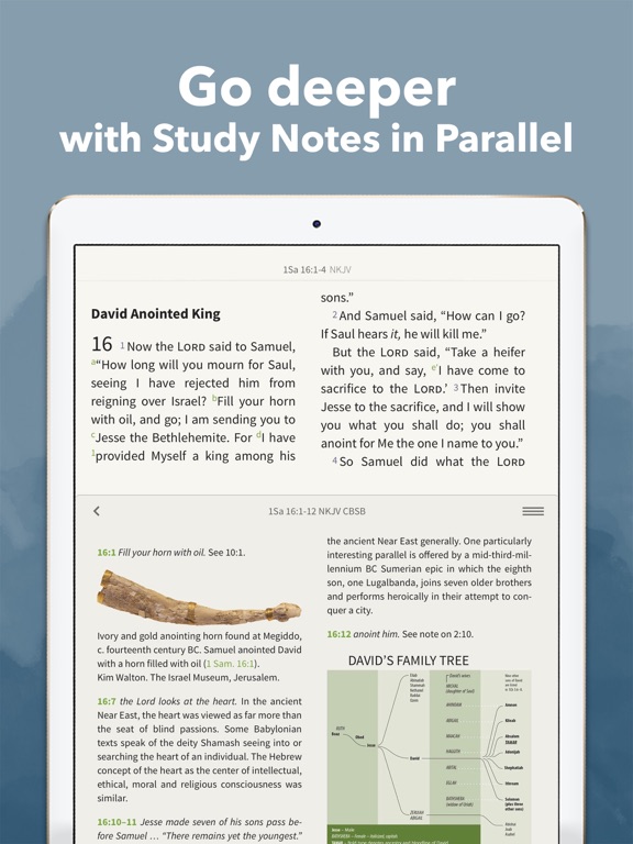 NKJV Bible by Olive Tree screenshot 9